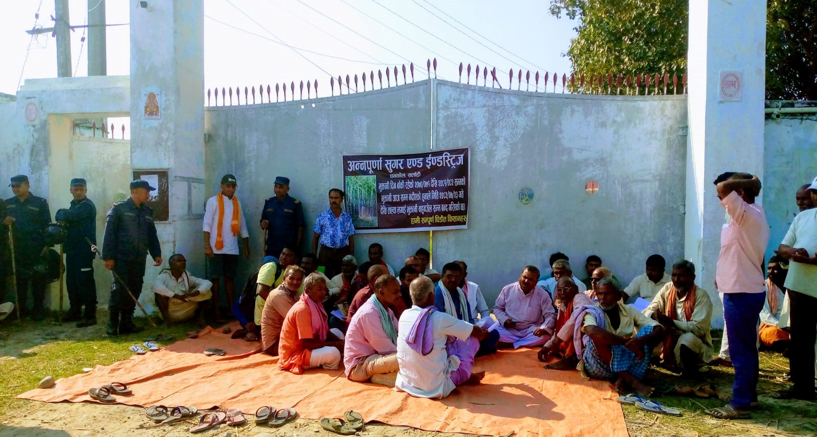 सर्लाहीमा आन्दोलित उखु किसान र उद्योगीबीच ४ बुँदे सहमति, एक महिना भित्र भुक्तानी पाउने